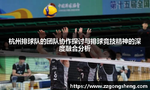 杭州排球队的团队协作探讨与排球竞技精神的深度融合分析